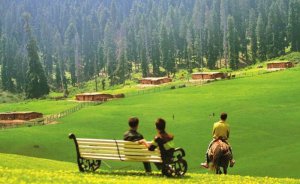 Jammu and Kashmir Tour package