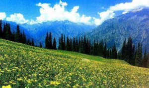 Sonmarg Tourism Tour Packages