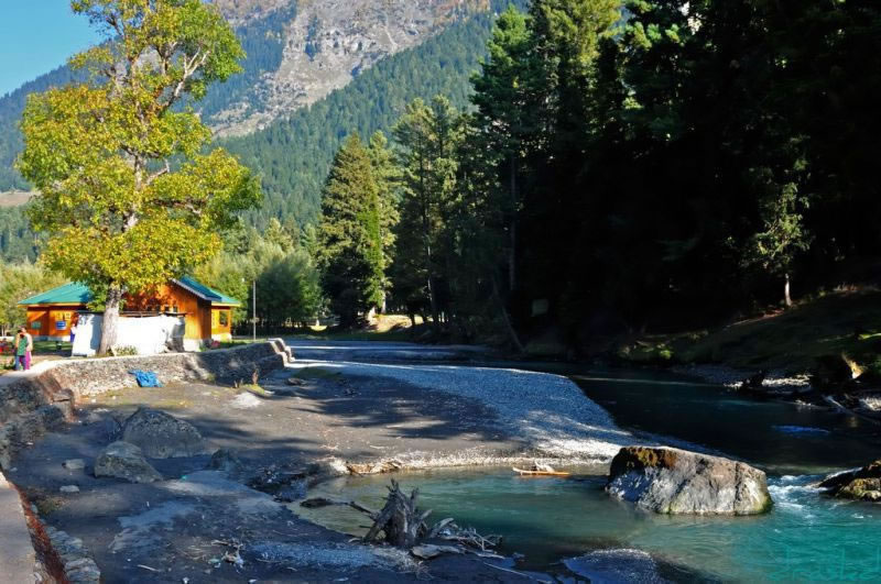 Spring In Kashmir